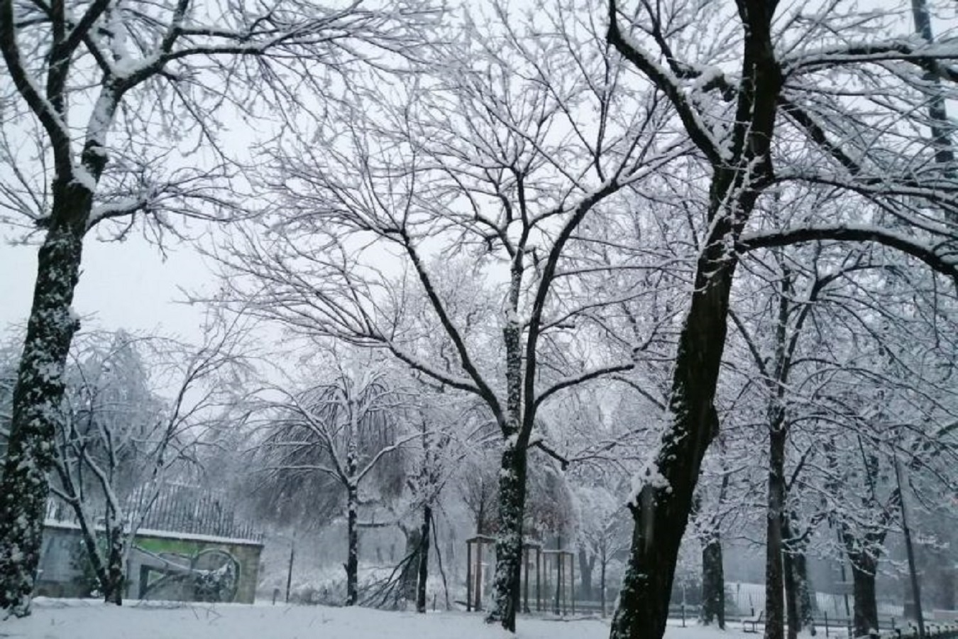 Previsioni Meteo 9 Dicembre Ancora Pioggia E Neve Sull Italia