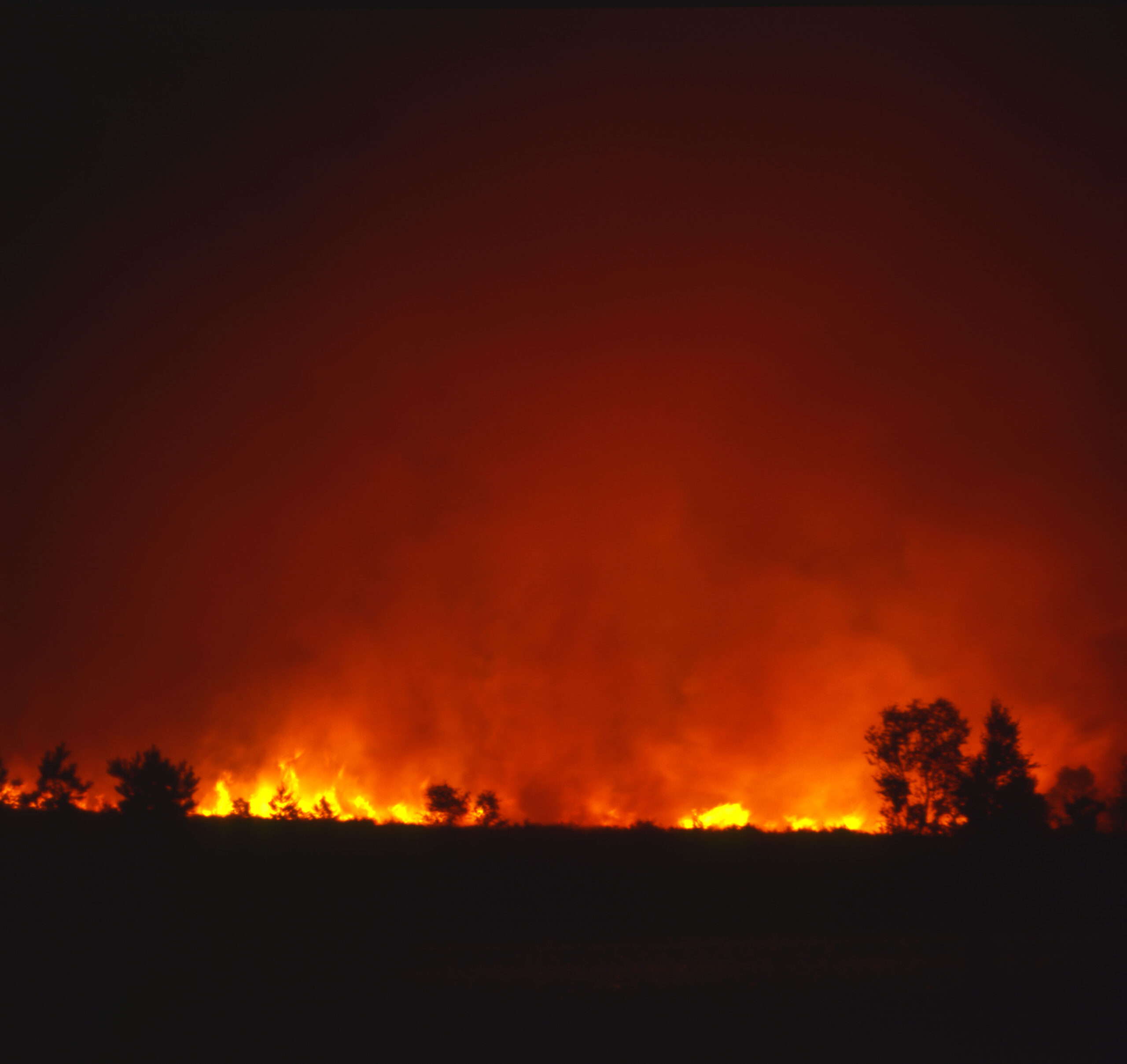 Maxi Incendio Nei Boschi Fiamme Vicino Alle Case Sfollati