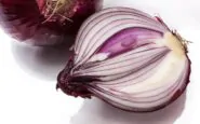 onion 276590 960 720 1