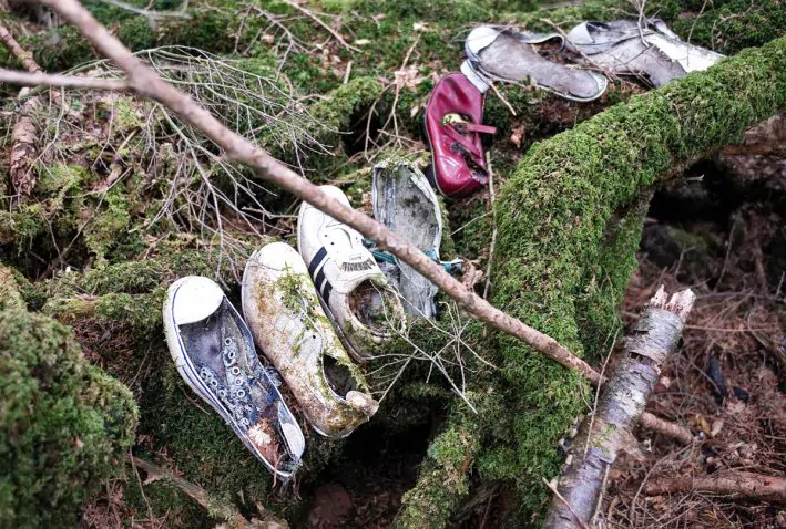 mappa della foresta di aokigahara