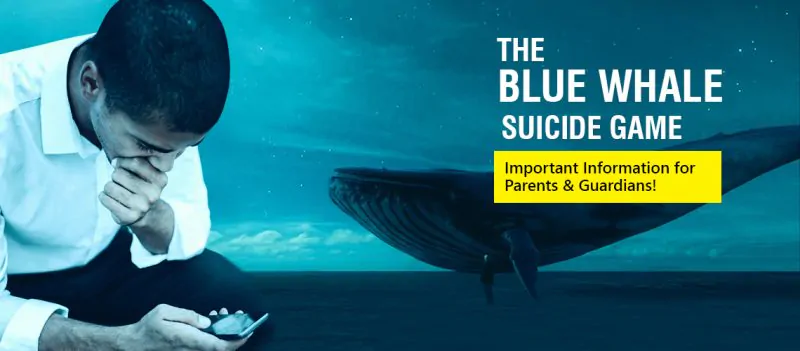 blue-whale-sg