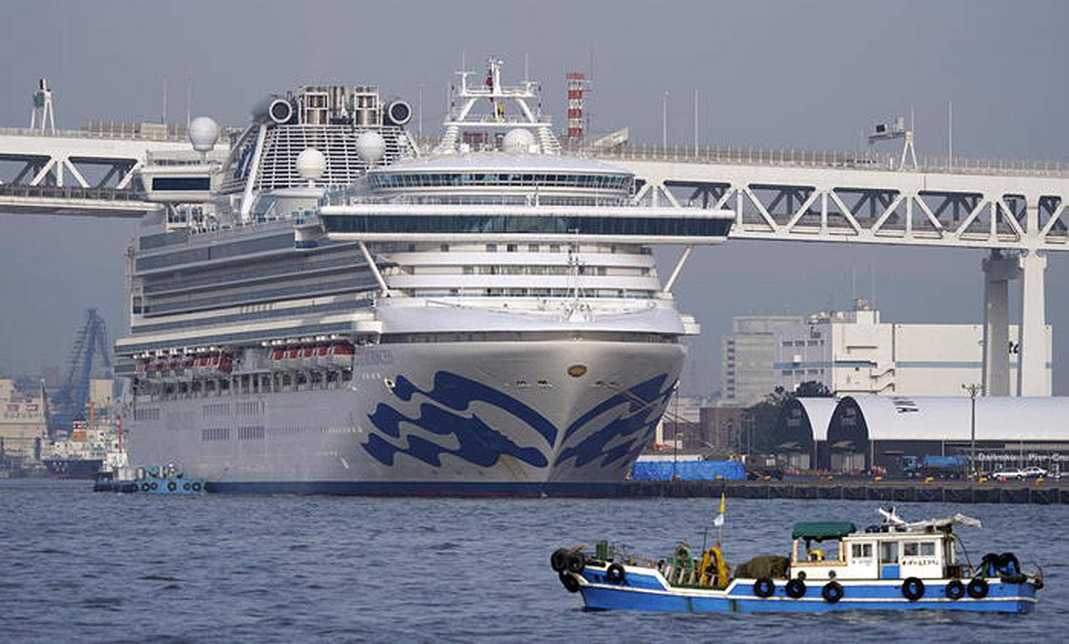 Лайнера японии. Лайнер принцесса диамонд. Корабля Diamond Princess. Круиз на принцессе Даймонд. Круизный лайнер Японии.