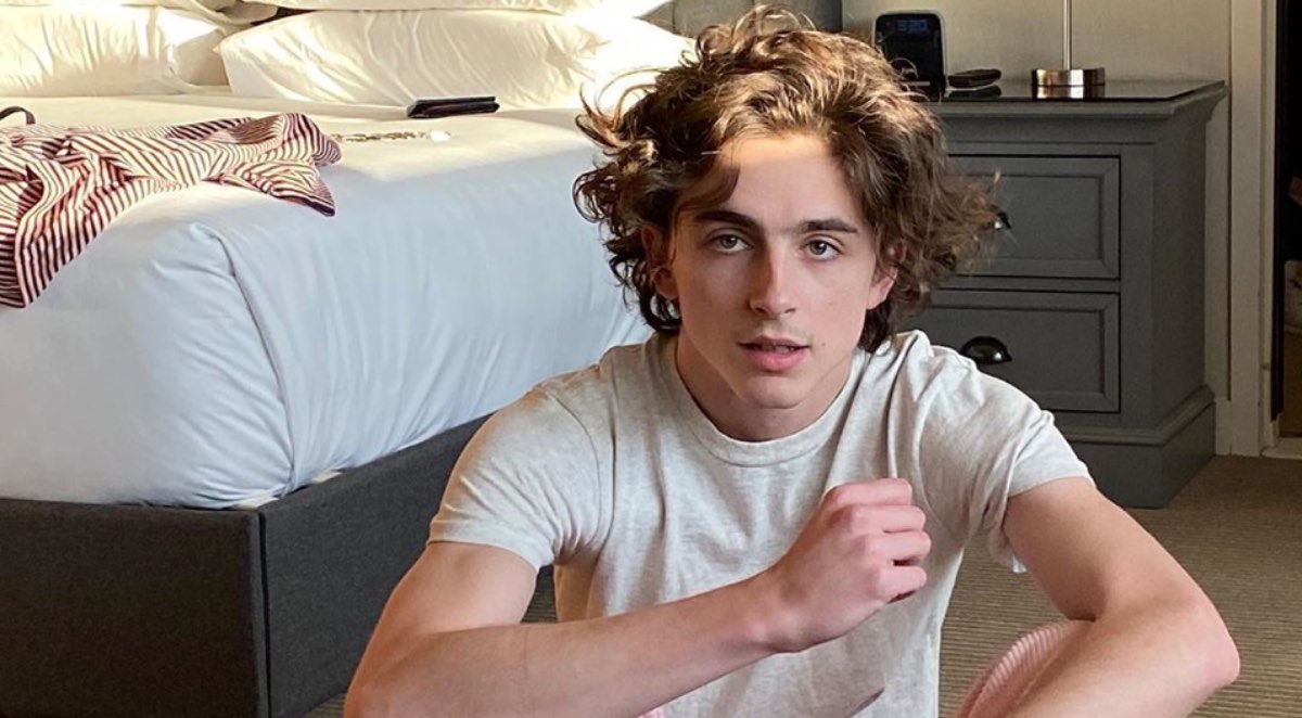 Timoth E Chalamet Fidanzata Momenti Di Intimit In Piscina