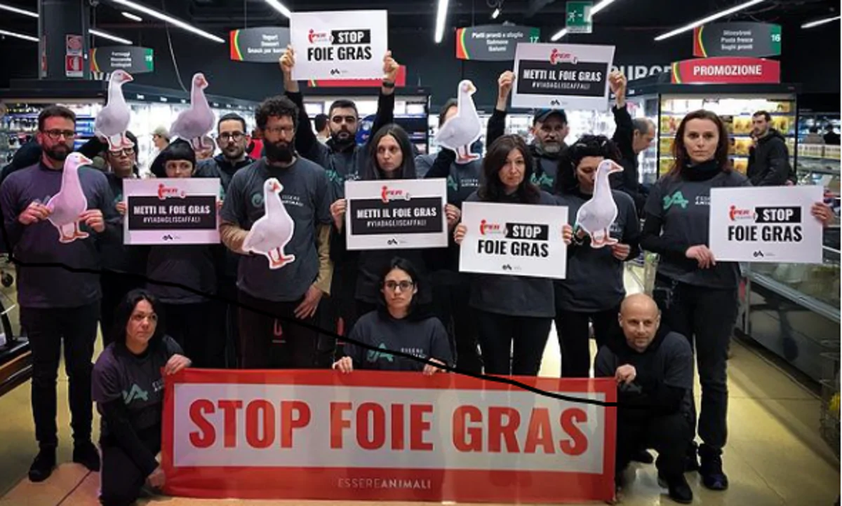 stop foie gras