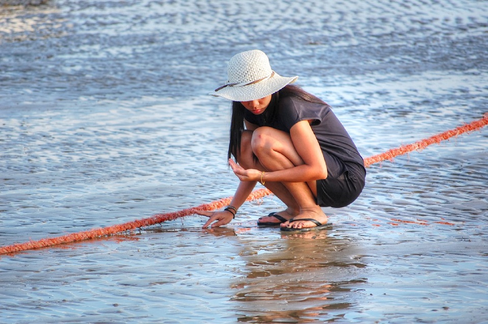 Cosa rischia chi raccoglie le conchiglie in spiaggia: la multa