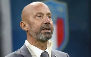 vialli 364x230