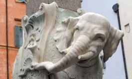 L'Elefante di Bernini danneggiato in piazza della Minerva a Roma