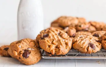 biscotti cookie