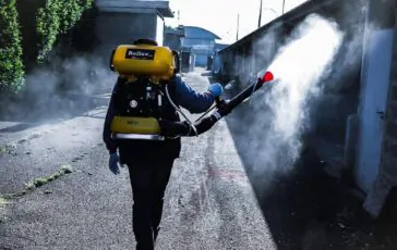 Disinfestazione topi: soluzioni per proteggere casa e giardino