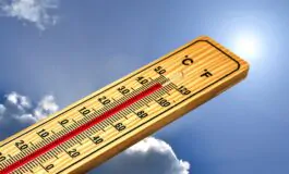 Ondate di caldo: consigli e rimedi