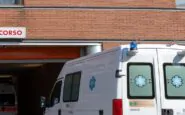 Ricoverato in ospedale per il morso di un ragno violino