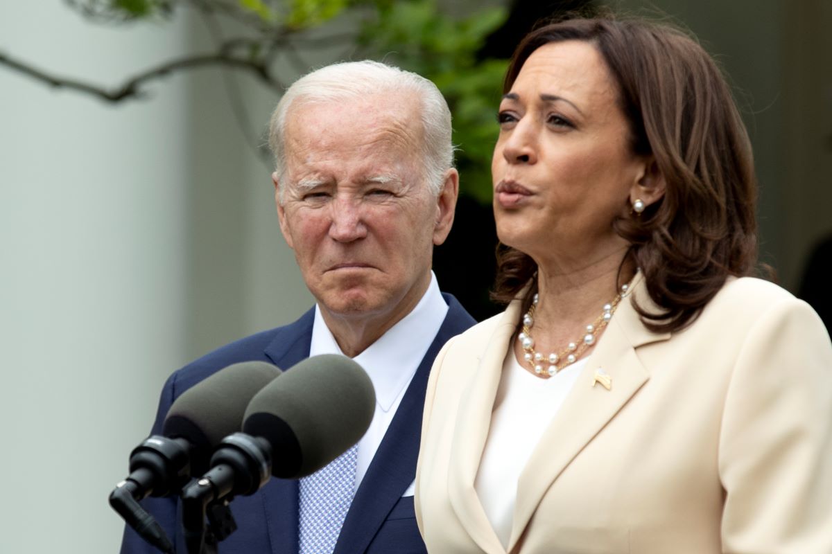 Kamala Harris has chosen Tim Walz as vice president