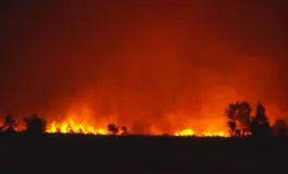 Ritrovato un cadavere in una fabbrica distrutta dalle fiamme vicino ad Atene