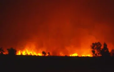 Ritrovato un cadavere in una fabbrica distrutta dalle fiamme vicino ad Atene