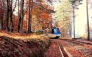 archivio fotografico ferrovia vigezzina centovalli autumn 5