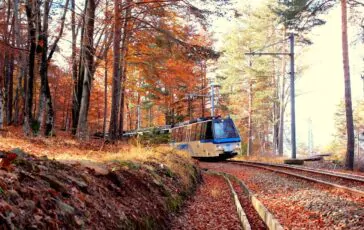 archivio fotografico ferrovia vigezzina centovalli autumn 5 364x230