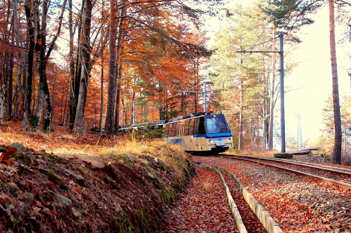 https://www.notizie.it/wp-content/uploads/2024/10/archivio-fotografico-ferrovia-vigezzina-centovalli-autumn-5.jpg