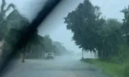 alluvione bologna morto