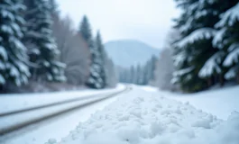 Neve in arrivo sulle strade dell'Alto Adige