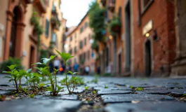 Corso di autodifesa a Roma per la sicurezza personale