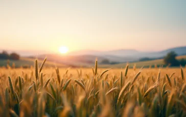 Immagine che rappresenta il lavoro agricolo e la lotta al caporalato