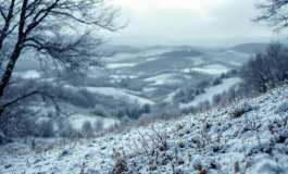 Immagine di maltempo in Italia con neve e vento forte