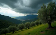 Immagine di piogge e temporali in Sicilia