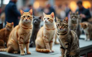 Gatti di razza in esposizione al Super Cat Show di Roma