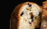 panettone farina di insetti natale