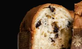 panettone farina di insetti natale