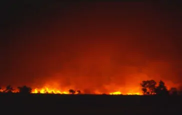 incendio a los angeles