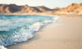 Immagine di un attacco di squalo nel Mar Rosso