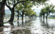 Immagine che rappresenta eventi climatici estremi in Italia