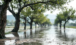 Immagine che rappresenta eventi climatici estremi in Italia