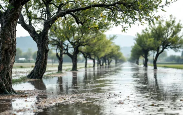 Immagine che rappresenta eventi climatici estremi in Italia