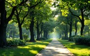 Cartello divieto di fumo in un parco di Milano