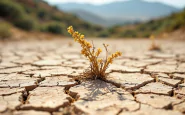 Immagine che rappresenta l'emergenza idrica in Sicilia