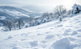 Nevicate in provincia di Foggia con disagi nei comuni montani