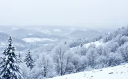 Immagine di maltempo nelle Marche con neve e vento forte