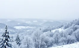 Immagine di maltempo nelle Marche con neve e vento forte