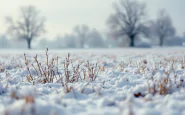 Immagine di maltempo con neve in Italia durante l'inverno