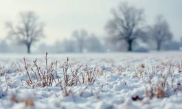 Immagine di maltempo con neve in Italia durante l'inverno