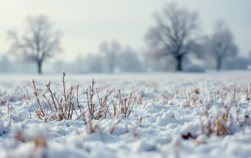 Immagine di maltempo con neve in Italia durante l'inverno