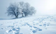 Neve e vento forte nel centro-sud Italia durante il maltempo