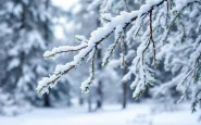 Paesaggio innevato in Molise durante il maltempo