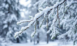 Paesaggio innevato in Molise durante il maltempo