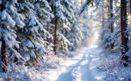 Paesaggio innevato in provincia di Isernia durante le feste