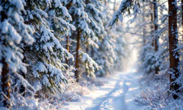 Paesaggio innevato in provincia di Isernia durante le feste