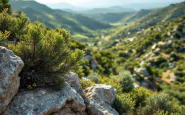 Manifestazione in Sardegna contro scorie nucleari