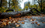 Immagine di Francesca Ianni, vittima di una tragedia a Roma